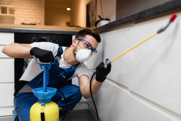 Best Commercial Pest Control Services  in Jeffersontown, KY
