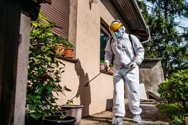 Best Exterminator Services  in Jeffersontown, KY