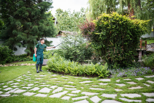 Best Commercial Pest Control Services  in Jeffersontown, KY