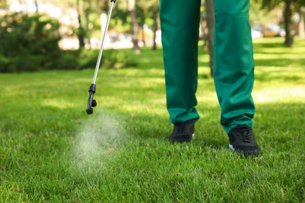 Best Affordable Pest Control Services  in Jeffersontown, KY