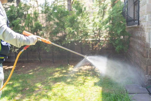 Best Best Pest Control Companies  in Jeffersontown, KY