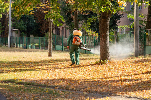 Best Rodent Control Near Me  in Jeffersontown, KY