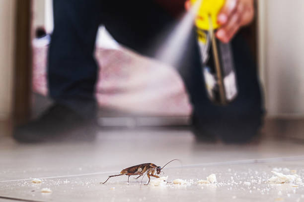 Reliable Jeffersontown, KY Pest Control Solutions